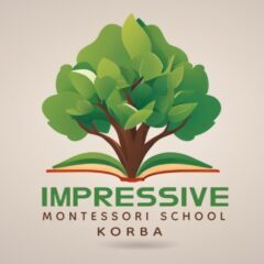 Impressive Montessori School